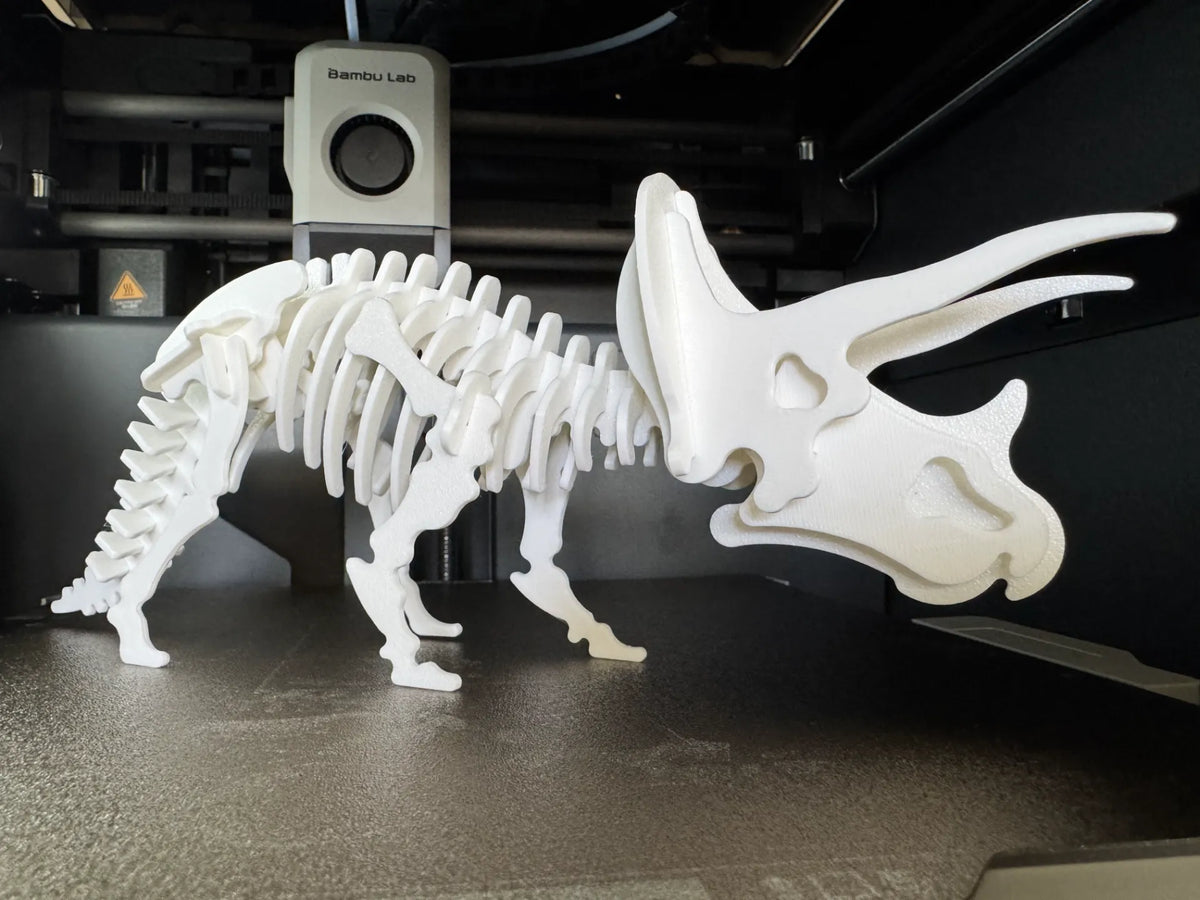 Puzzle squelette de dinosaure Tricératops - Maquette Print