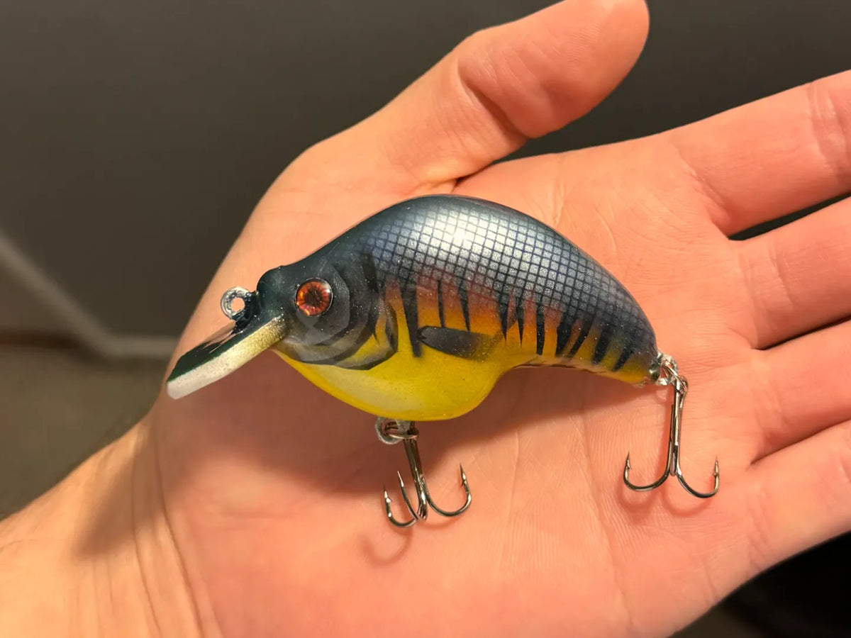 Leurre Cranckbait pour Bass, Leurre de Pêche, Pêche à la verticale - Outdoor Print