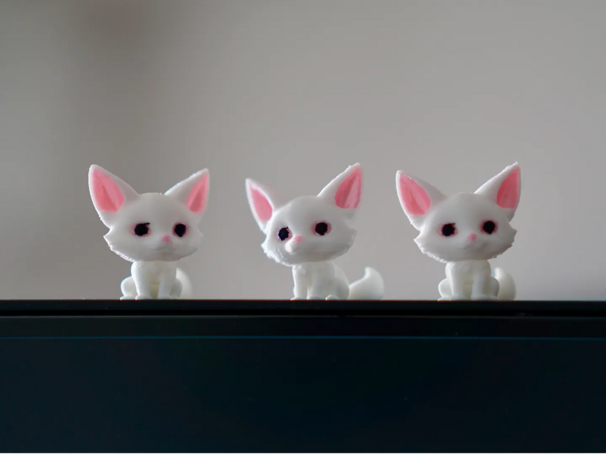 Renards minuscules adorables - Geek Print