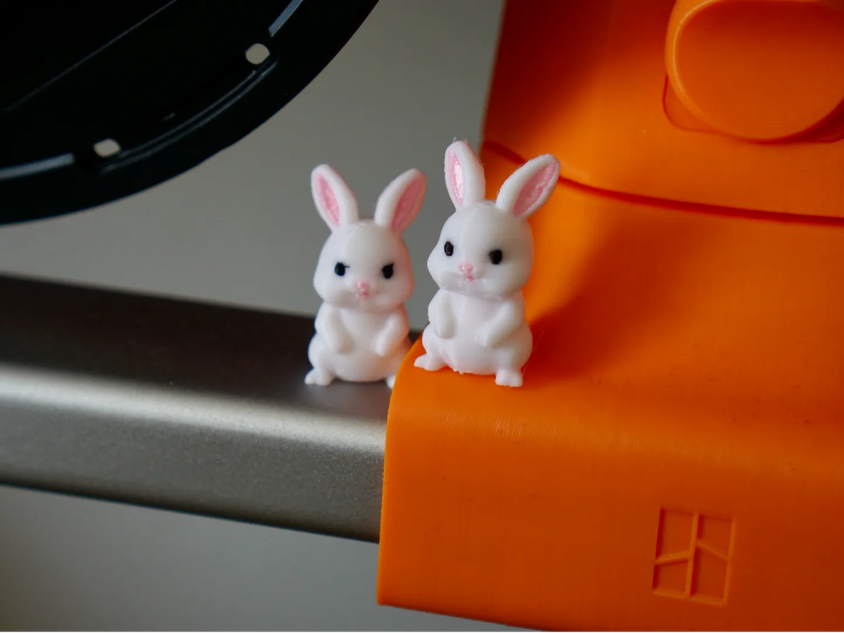Lapin nain adorable - Fêtes Print