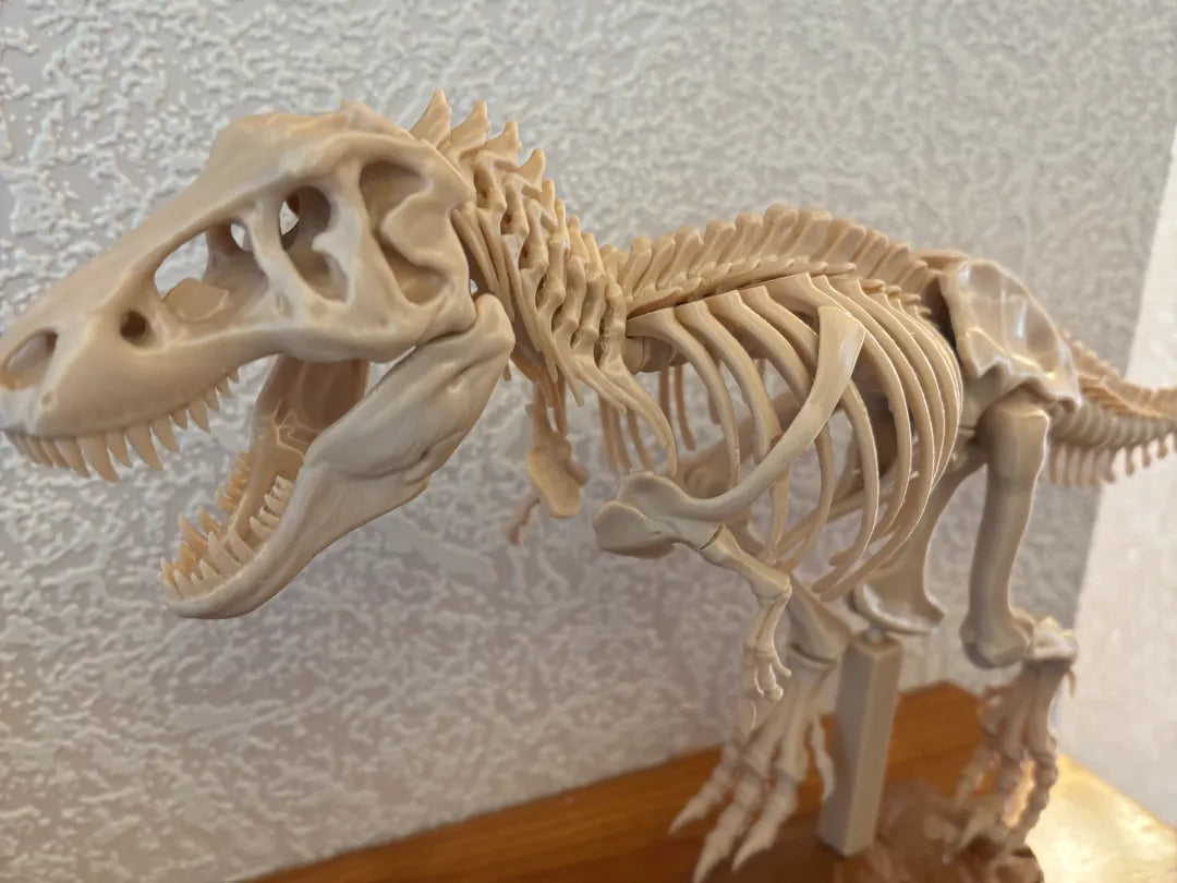 Support renforcé pour squelette de T.Rex - Maquette Print