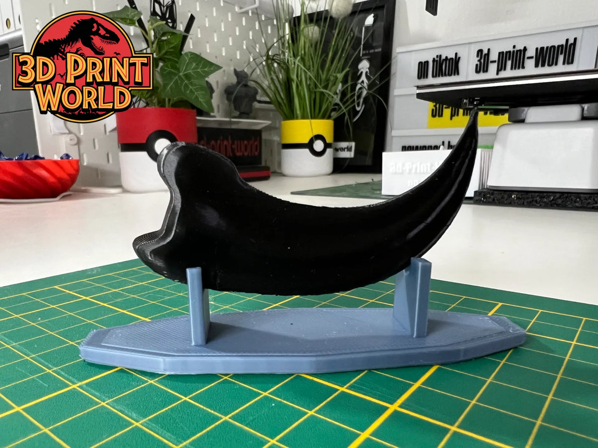 Griffe de Vélociraptor - Griffe de Raptor - Dinosaure - Maquette Print