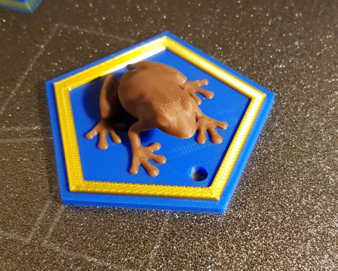 Carte Grenouille Harry Potter - Ornement/Porte-clés de Noël - Geek Print