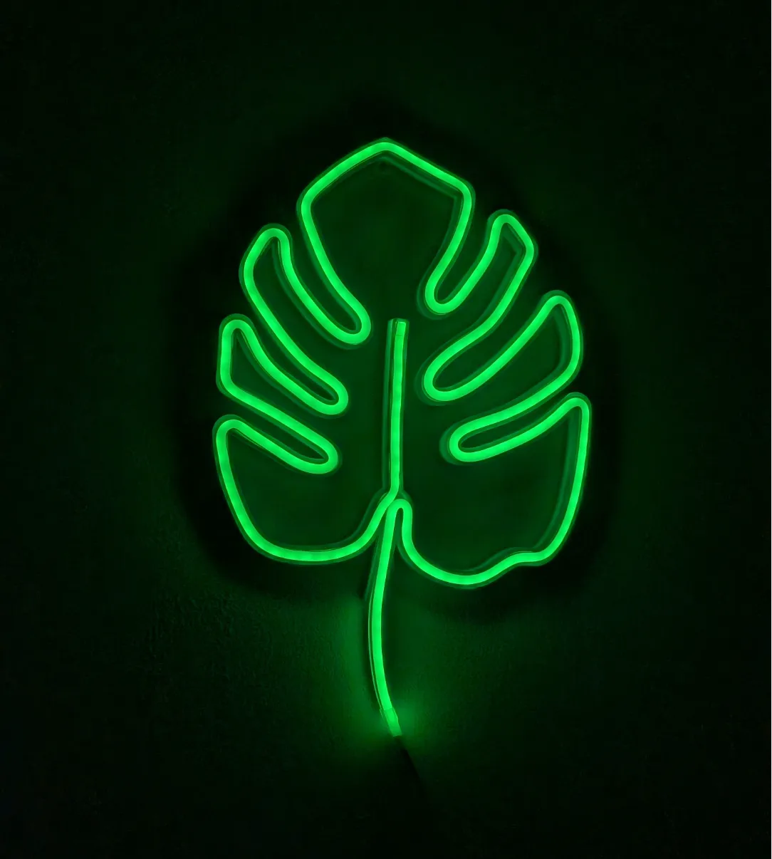 Feuille de Monstera LED Néon - Lumière Print