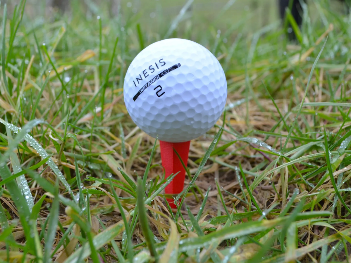 Tige de Golf – modèle 3 - Sport Print