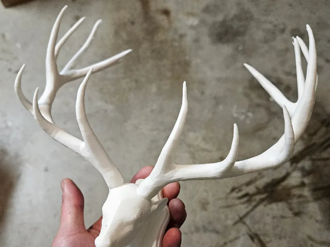 Trophée décoratif tête de cerf - Art Print