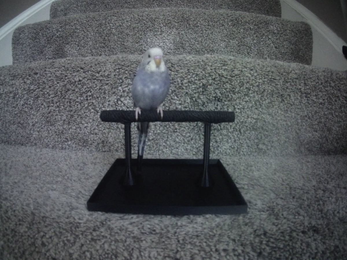 Perchoir à oiseaux avec plateau - Pet Print