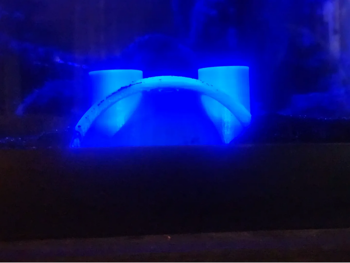Cachette pour aquarium - Pet Print