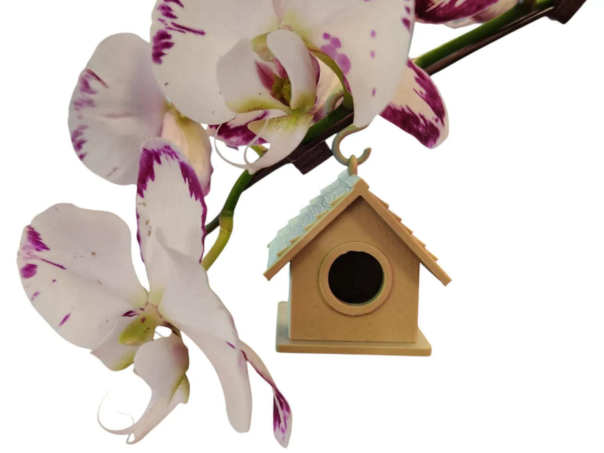 Maisonnette d'oiseau miniature décorative - Outdoor Print