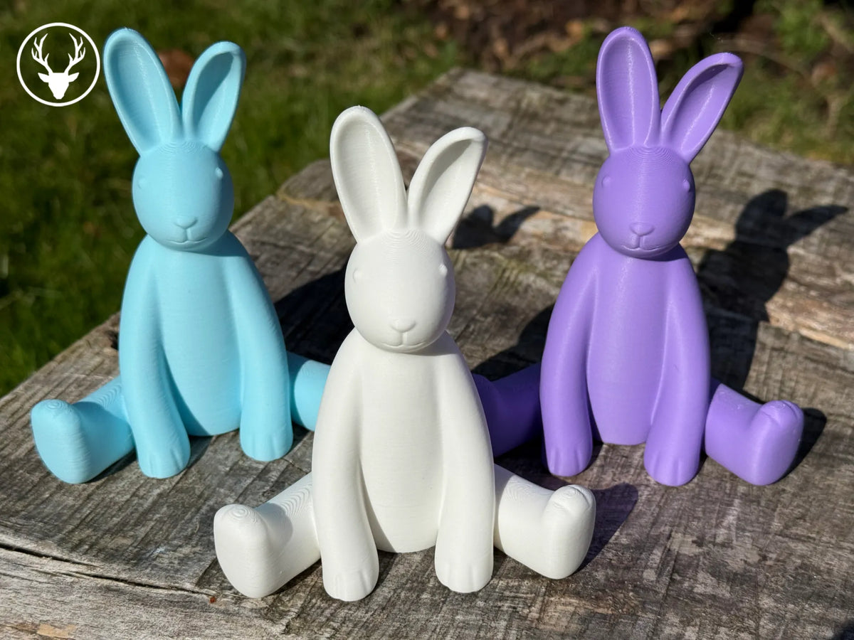 Lapin de Pâques – modèle 3 - Fêtes Print