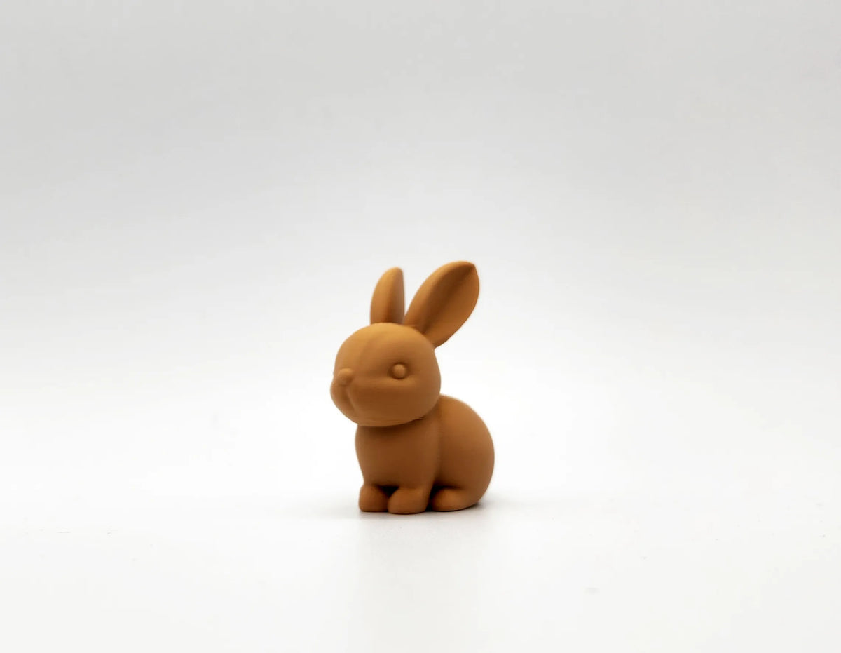 Petit Lapin - Fêtes Print
