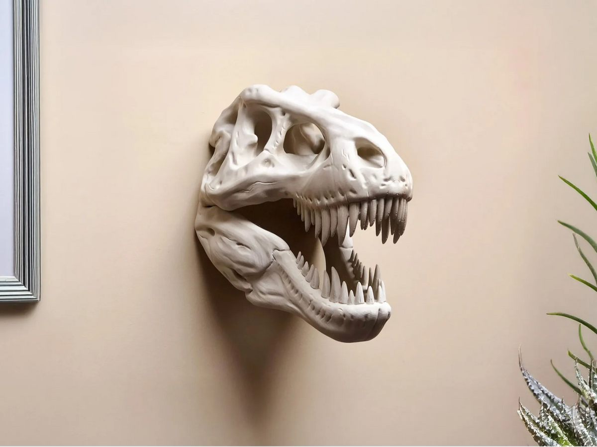 Crâne de T-Rex - Art mural - Art Print