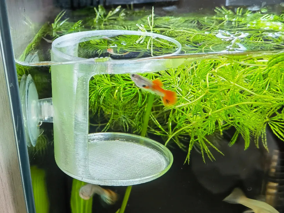 Automatic Fish Tank Feeder – modèle 2 - Pet Print