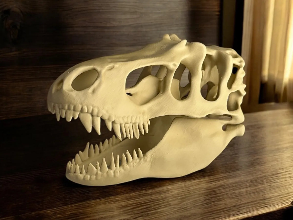 Crâne de T-rex - Maquette Print