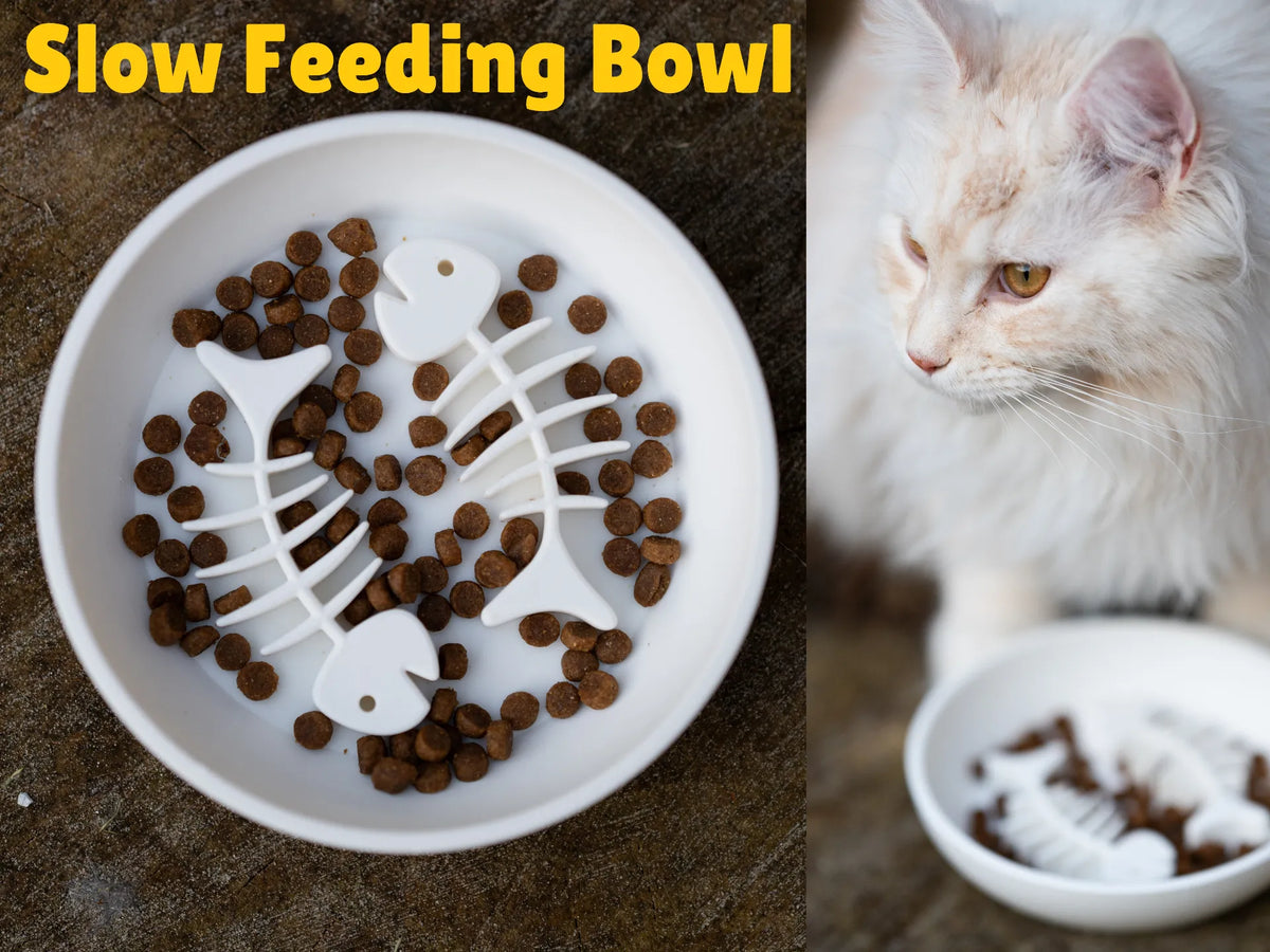 Gamelle anti-glouton pour chat - Distributeur de nourriture pour chat - Pet Print
