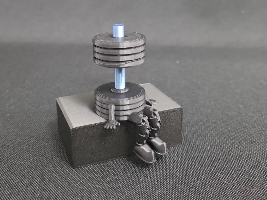 Haltère flexible articulée, cadeau idéal pour les sportifs - Sport Print