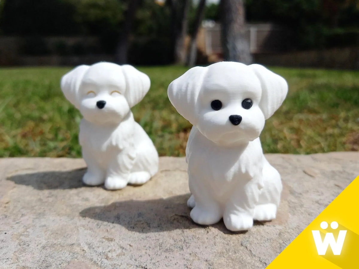 Petit chien maltais - Figurine Print