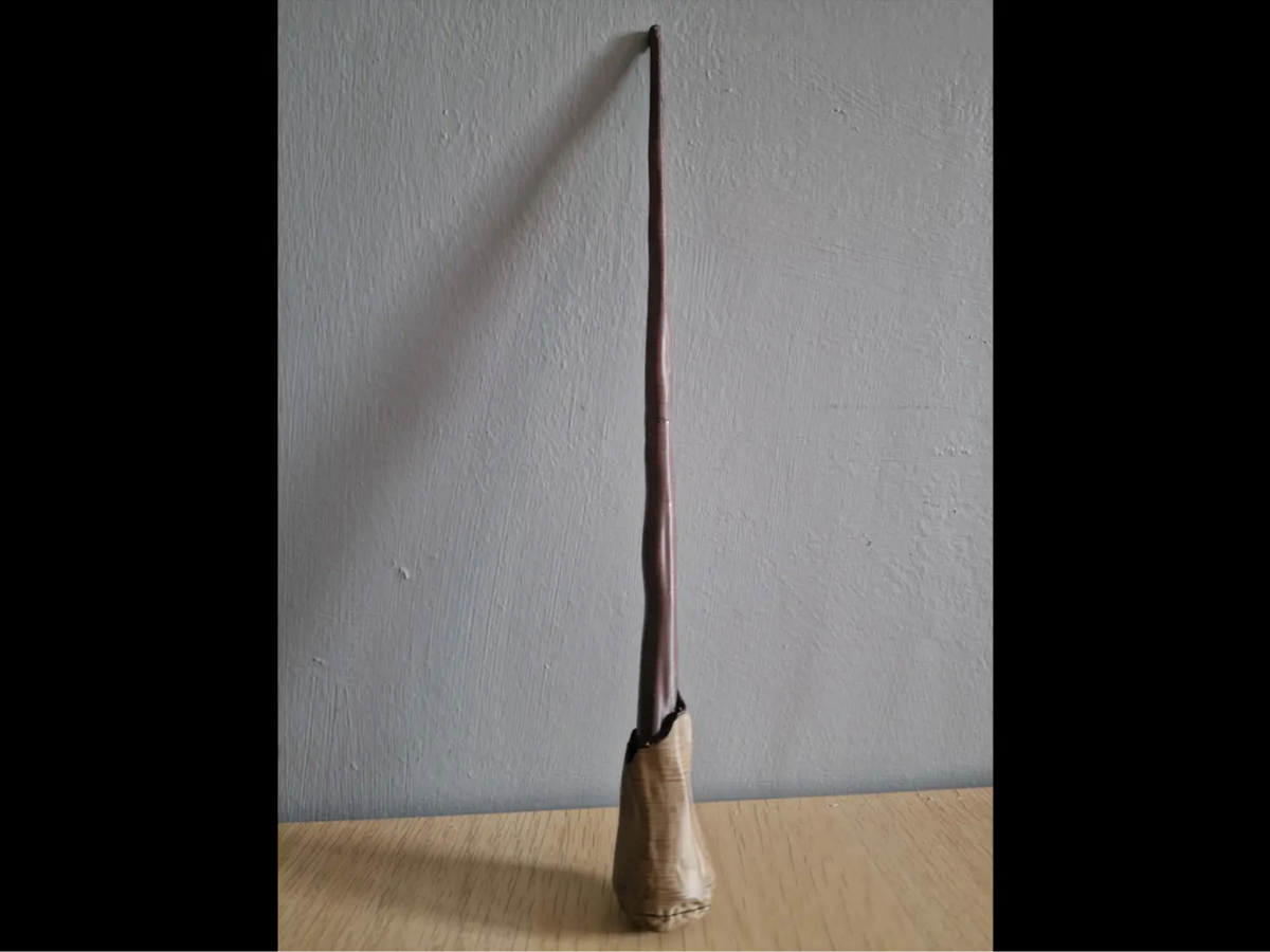 La baguette de Ronald Weasley (Harry Potter) - Cosplay Print