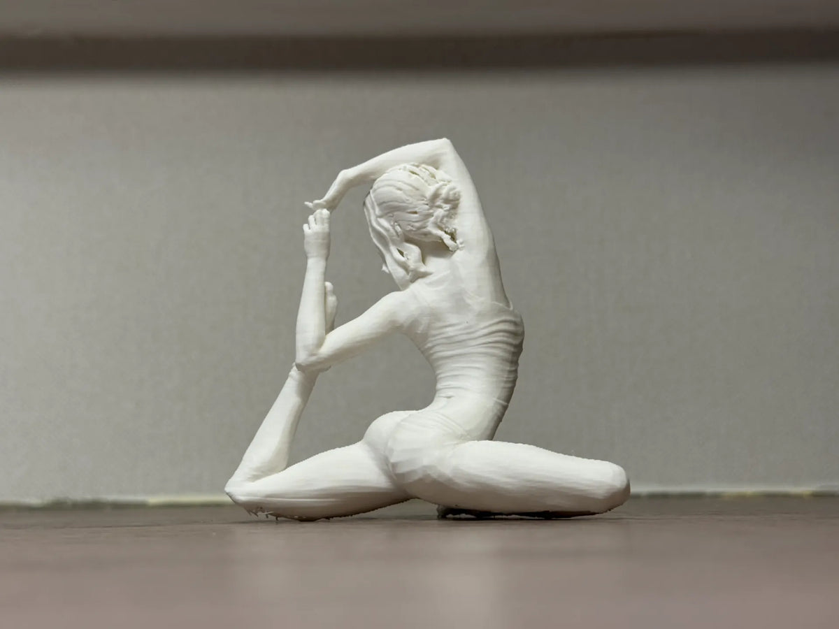 Leçon cinq de yoga - Sport Print