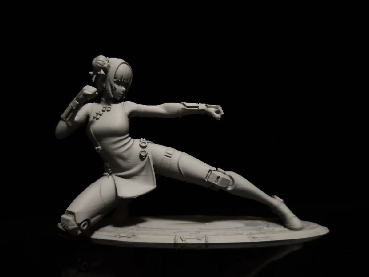Série Mecha Girl - Kung-fu chinois - Figurine Print