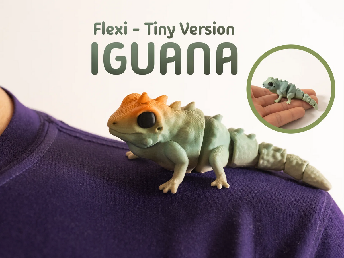 Iguane articulé et porte-clés - Figurine Print