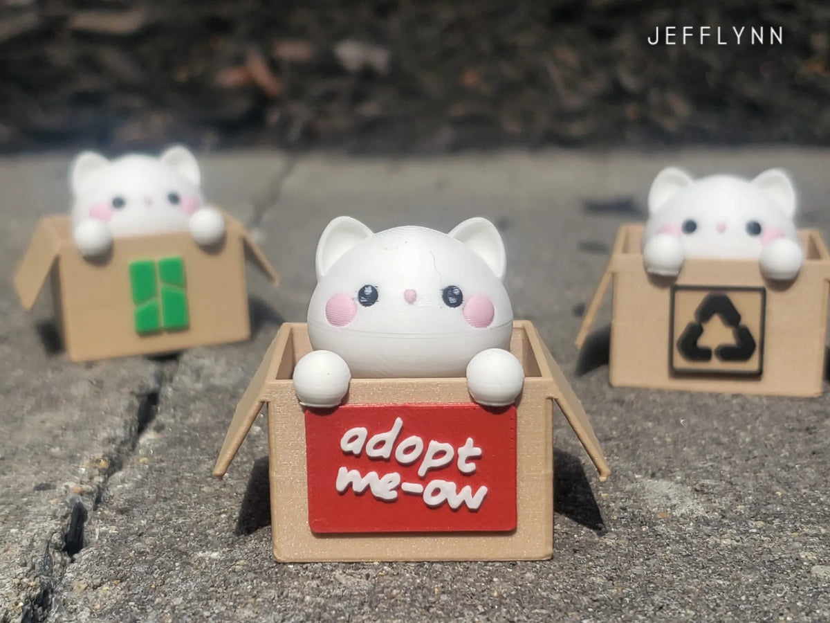 Chat dans une boîte - Porte-clés fidget à clic - Cadeau Print