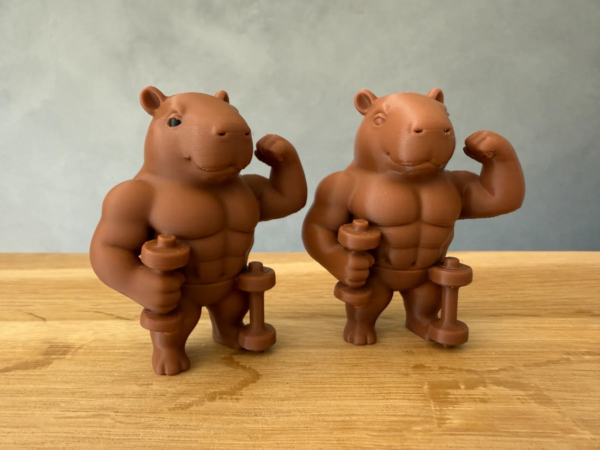 Musclebara – Capybara bodybuilder avec haltères - Sport Print