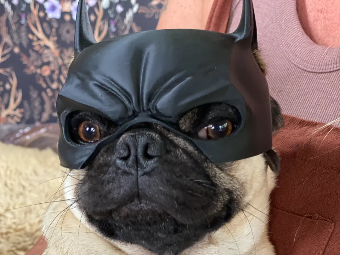 Masque de chien Batman pour races brachycéphales - Geek Print