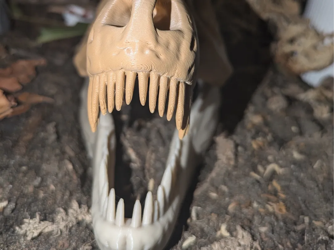 Crâne de Reptile T-Rex - Pet Print