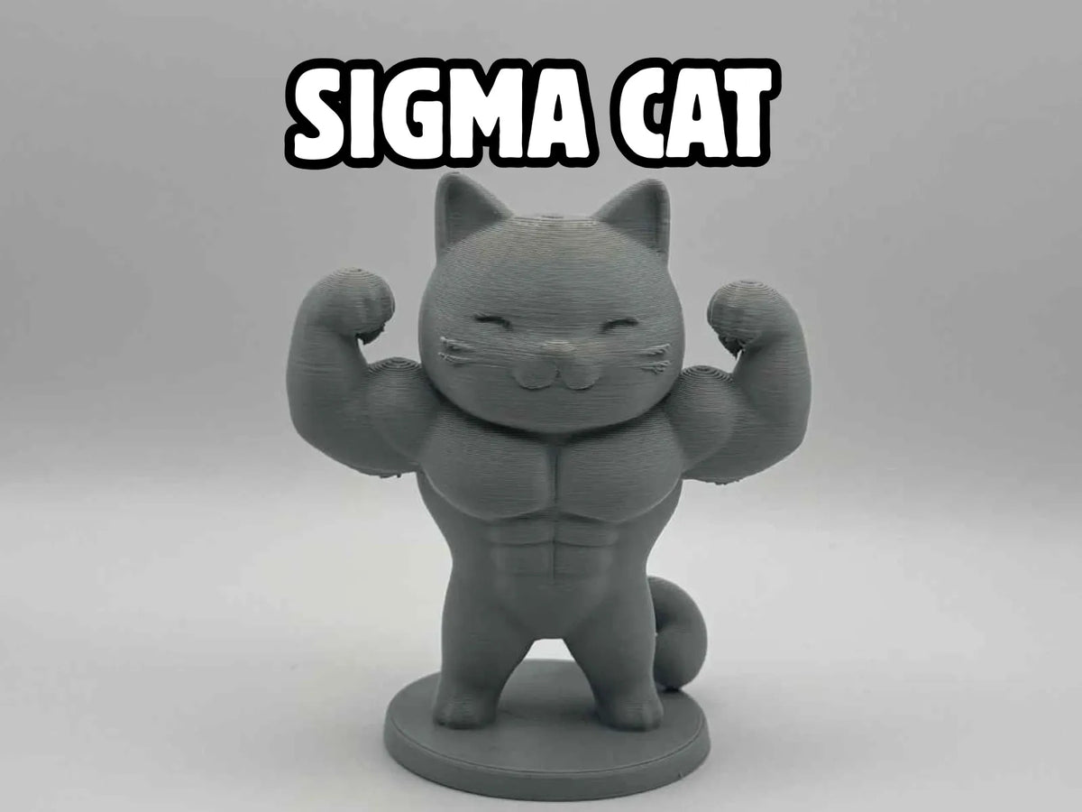 Sigma Cat – Chat Musclé - Figurine Print