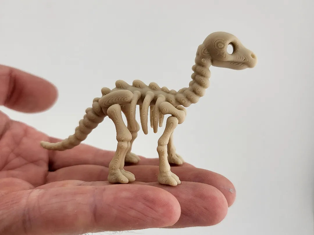Porte-clés squelette de dinosaure Jouet animal préhistorique - Maquette Print