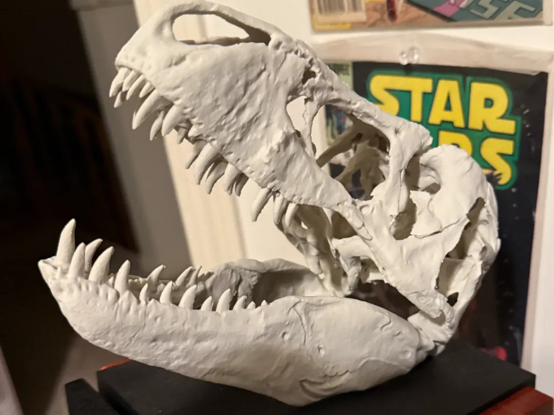 Réplique de crâne de T-rex - Maquette Print
