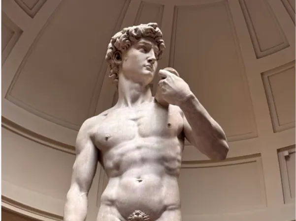David - Art Print