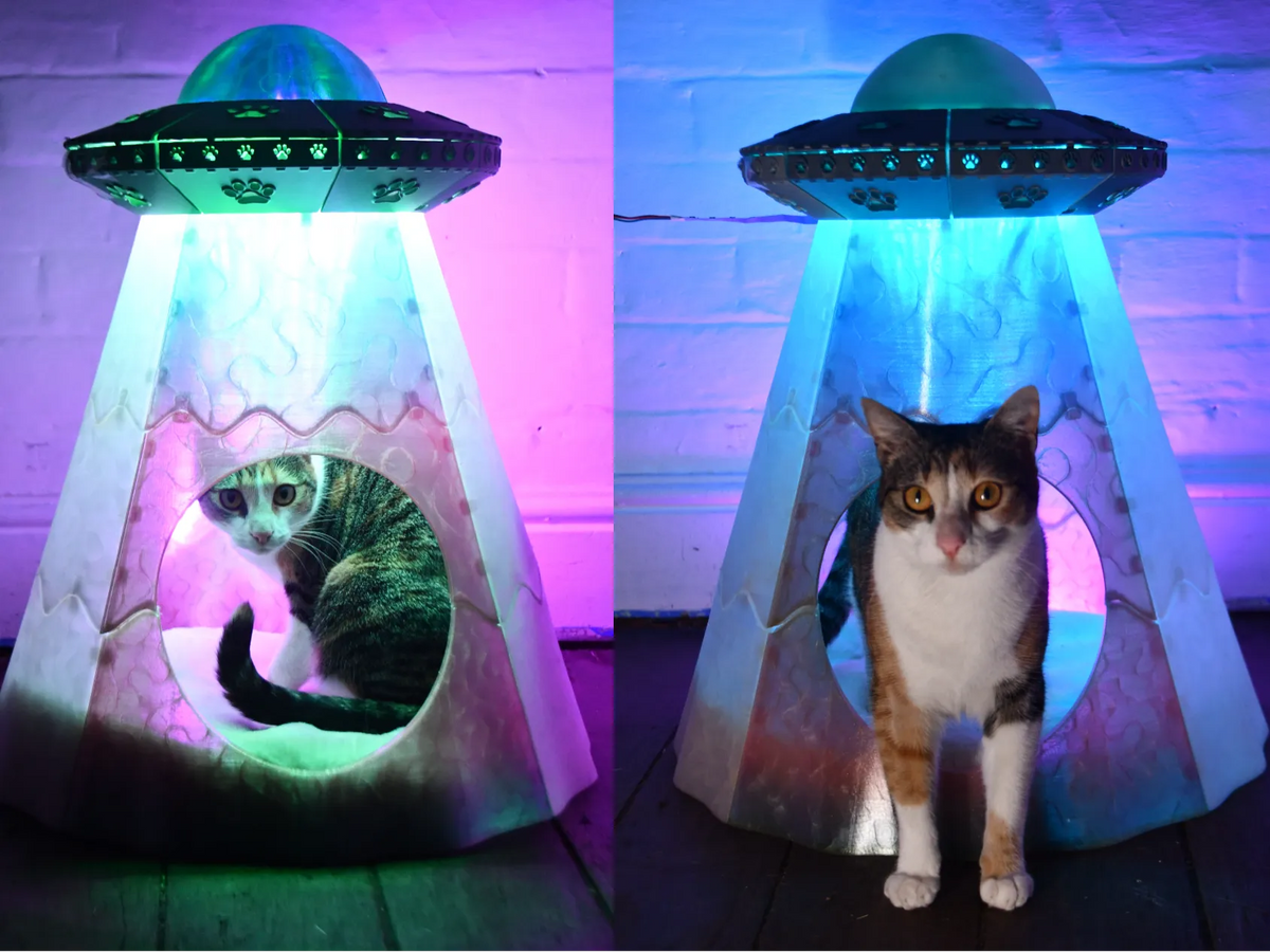 Lit pour Animaux LED Enlèvement Extraterrestre - Pet Print