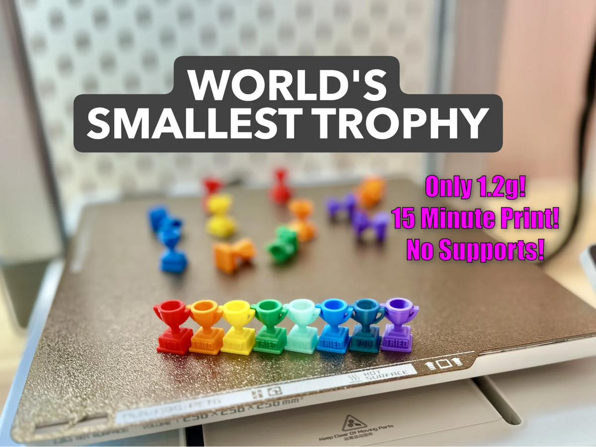 Vous avez essayé. Voici un trophée - Le plus petit du monde - Cadeau Print