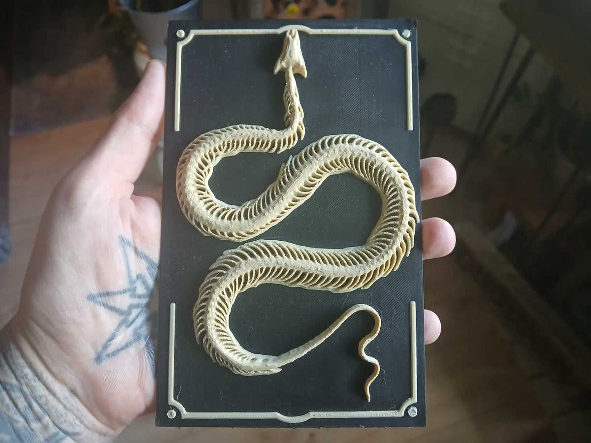 Squelette de serpent - Fêtes Print
