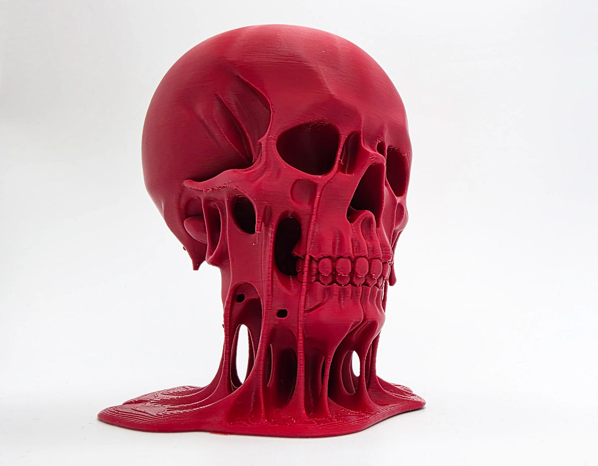 Crâne sanglant en fusion - Science Print