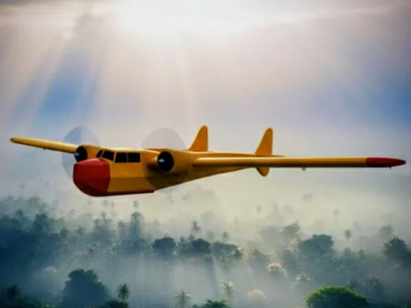 Avion RC Gentle Goose - Tech Print