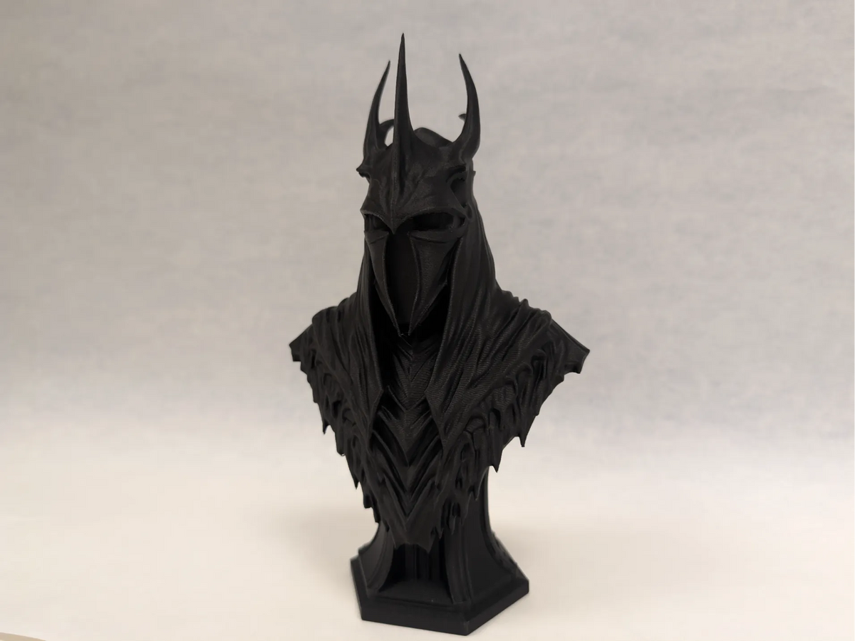 Roi-Sorcier - Le Seigneur des Anneaux - Buste - Geek Print
