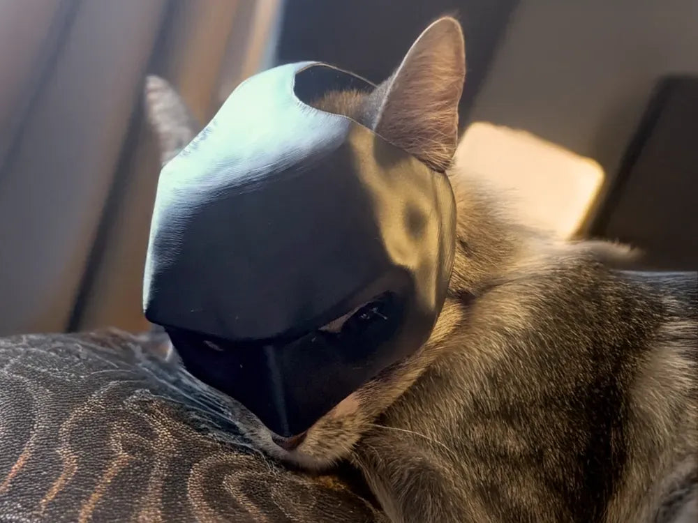 Ghotam chat (Minou DE Ghotam) Masque DE Chat Batman - Geek Print
