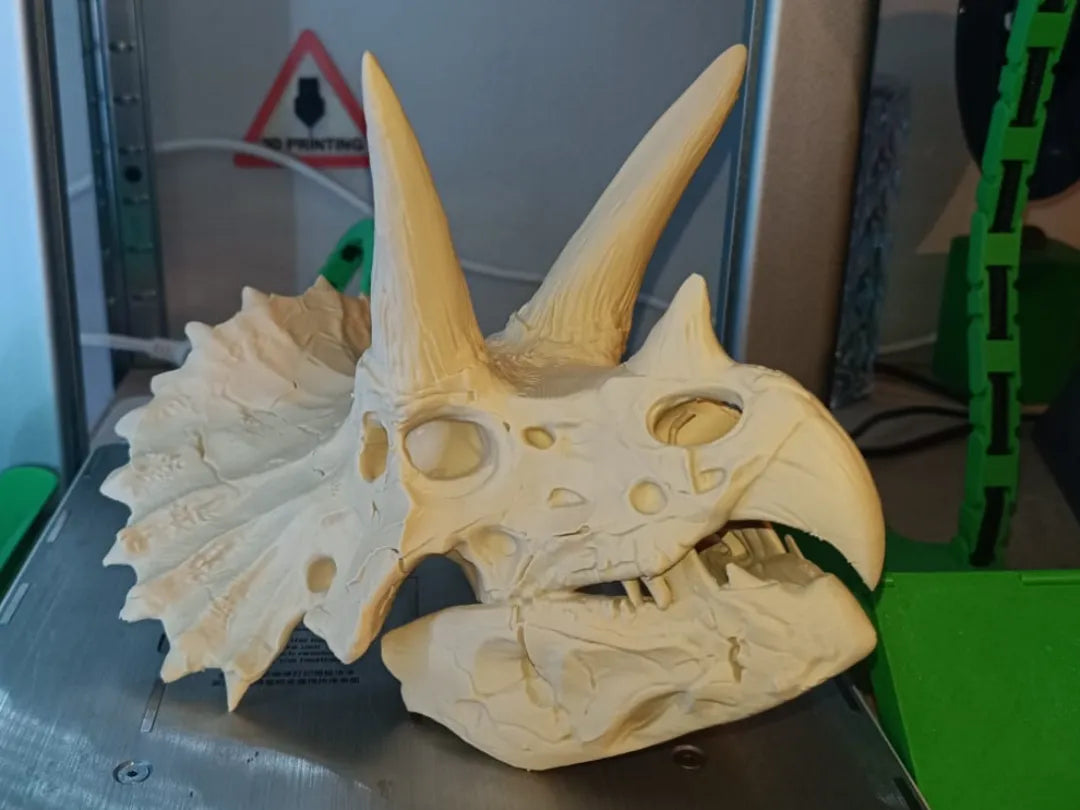 Tête de dinosaure Tricératops - Maquette Print