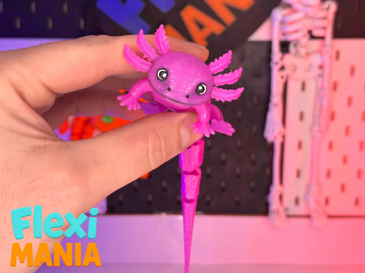Axolotl articulé Flexi – Axolotl mignon articulé en une seule pièce - Figurine Print