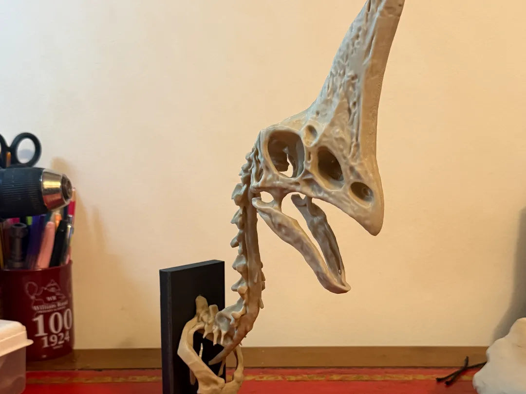 Réplique du crâne d'oviraptorosaure "Spike" de 5 millions de livres sterling - Maquette Print
