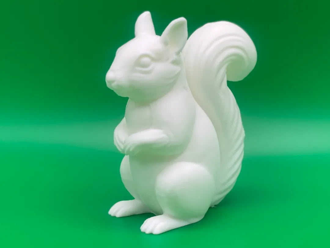 Animal écureuil mignon - Geek Print