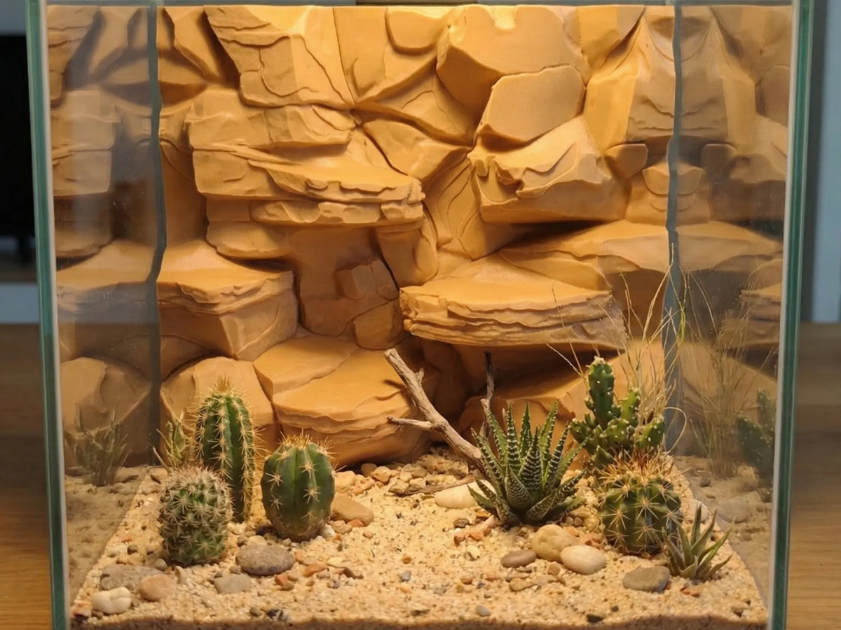 Fond 3D Pierre de Désert pour Aquarium et Terrarium - Pet Print