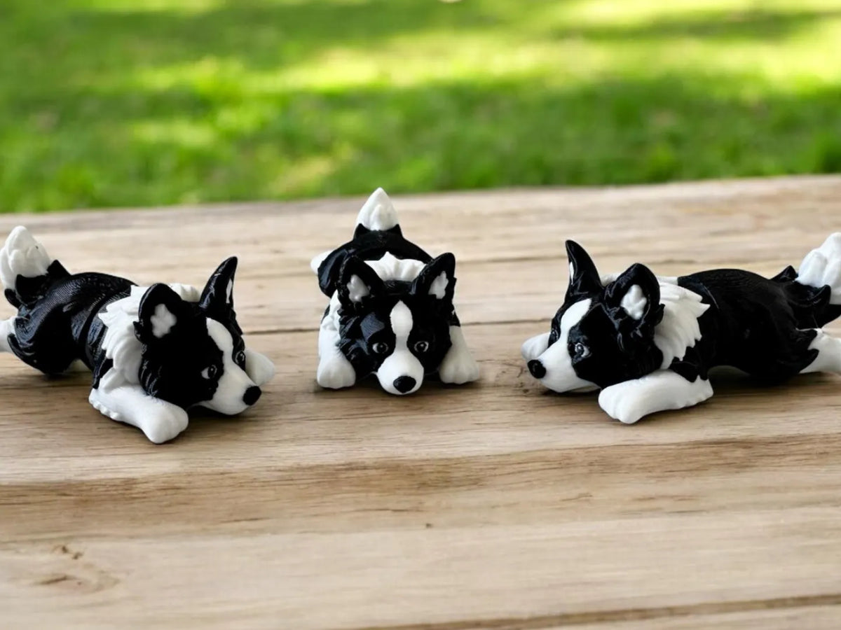 Mini Chiot Flexi Border Collie - Pet Print