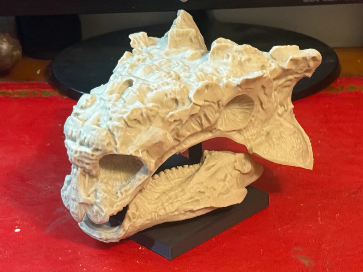 Crâne d'Ankylosaure – Fossile de Dinosaure Blindé - Maquette Print