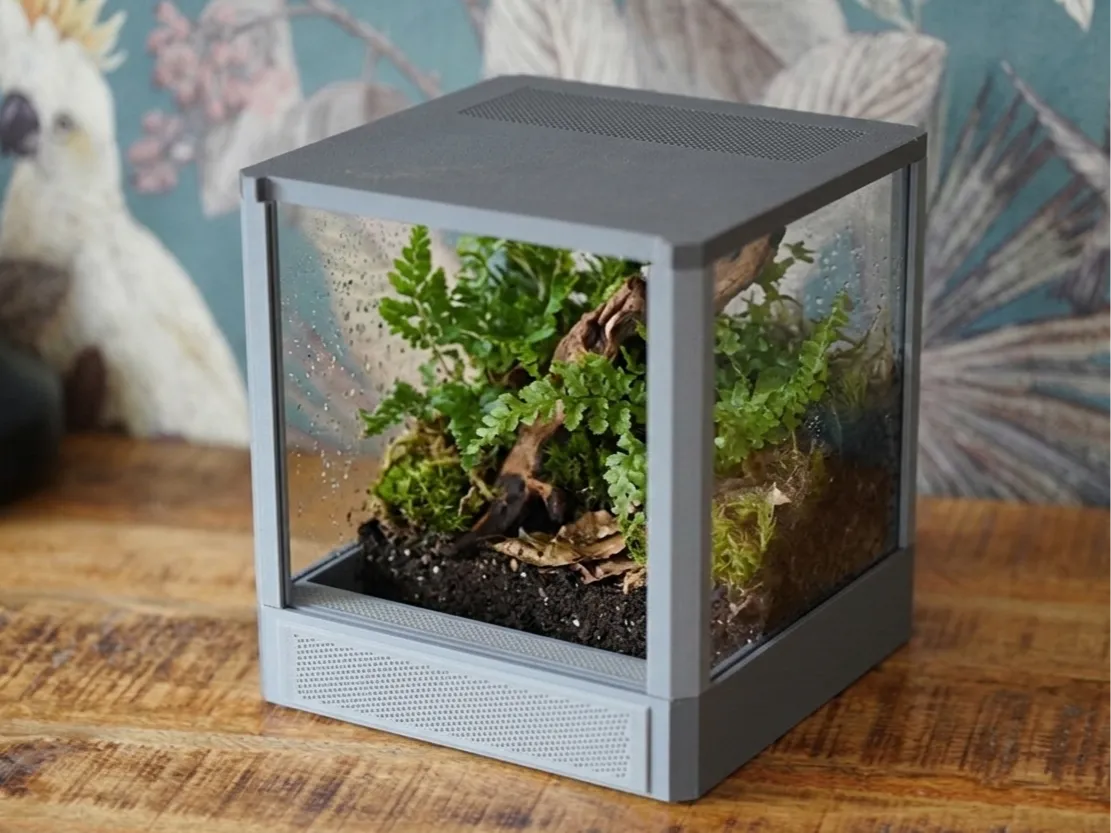 Terrarium pour araignée sauteuse - 7"x7"x7" - Pet Print