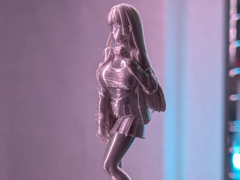 Figure Benchmark: Modèle de test de figurine d'anime ultime - Figurine Print