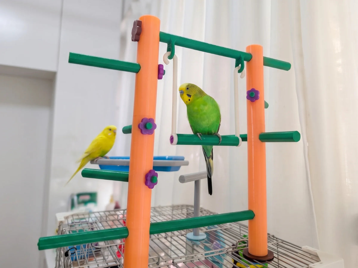 Aire de jeu et perchoir modulaire pour oiseaux - Pet Print